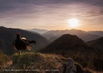 Fotografare il parco - international nature photo contest