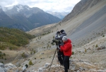 The International Bearded Vulture Observation Day