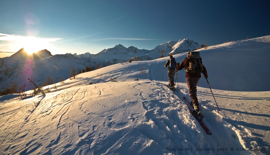 WeWild: ALPARC Develops Communication Tools for Eco-friendly Behaviour in Snow and Outdoor Sports