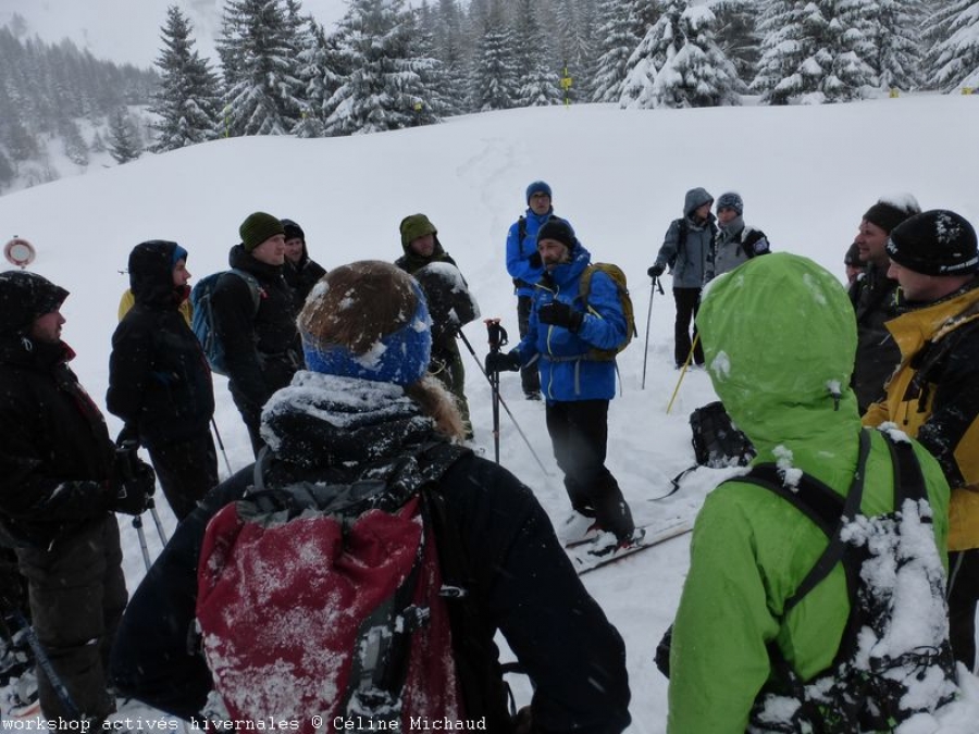 Wintersport und wild lebende Tiere: Start einer alpenweiten Arbeitsgruppe