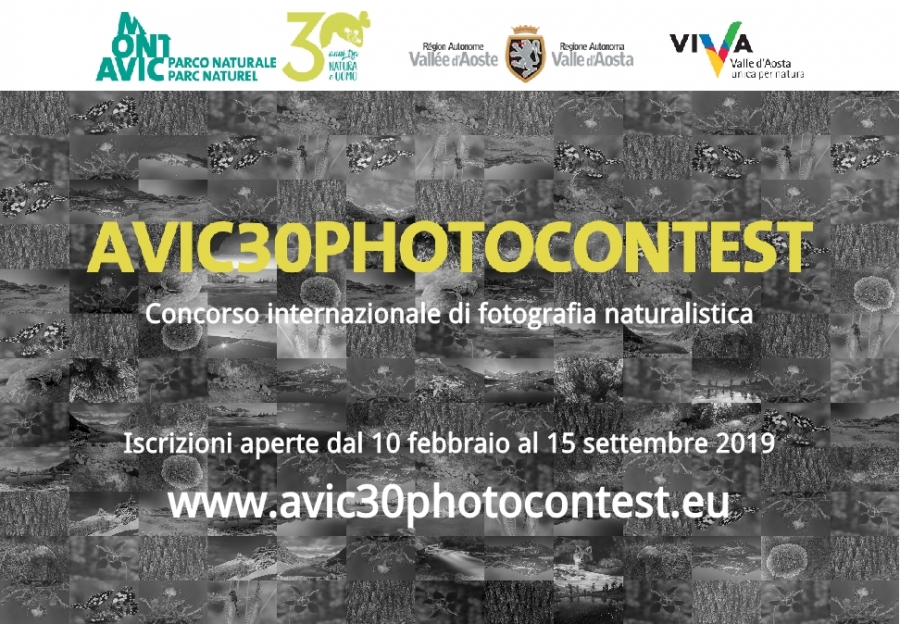Take part in the Avic30photocontest