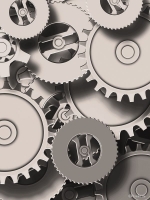 50 questions to orient research about ecological connectivity