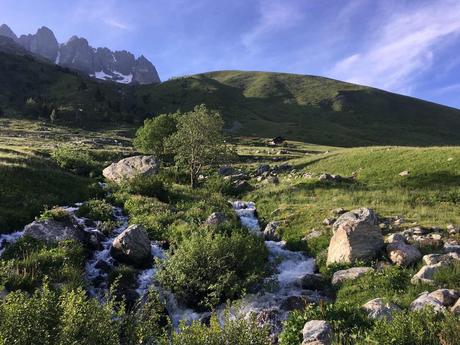 A look back at the Alpine Protected Areas history